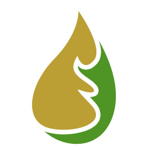 Agni-Bhutha.jpg